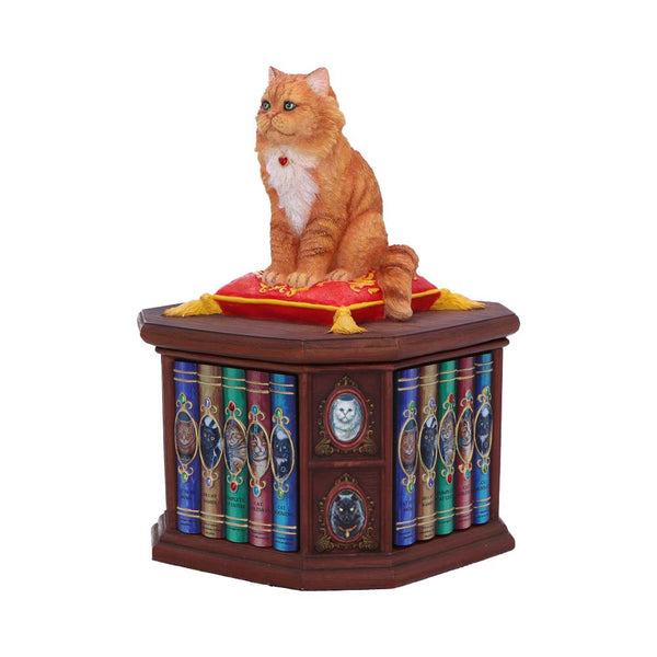 Mad About Cats Box
