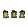 Three Wise Toads