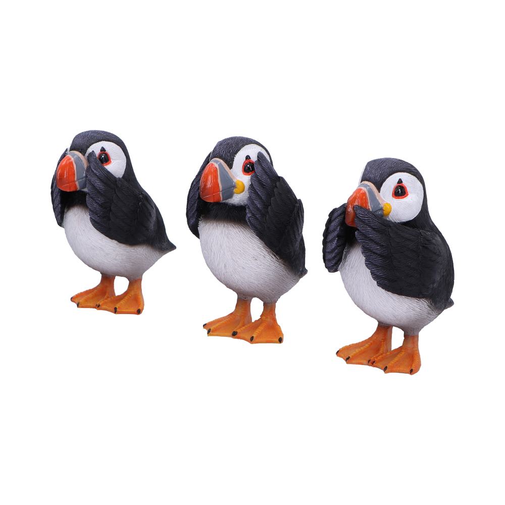 Three Wise Puffins
