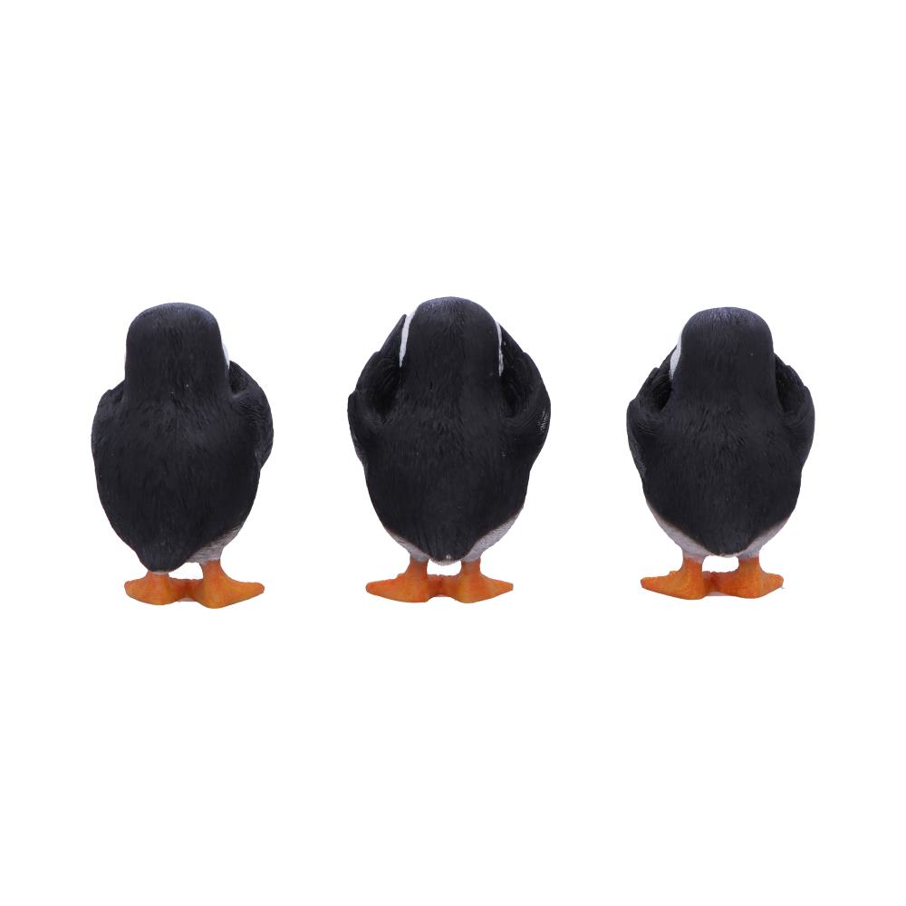 Three Wise Puffins