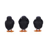Three Wise Puffins