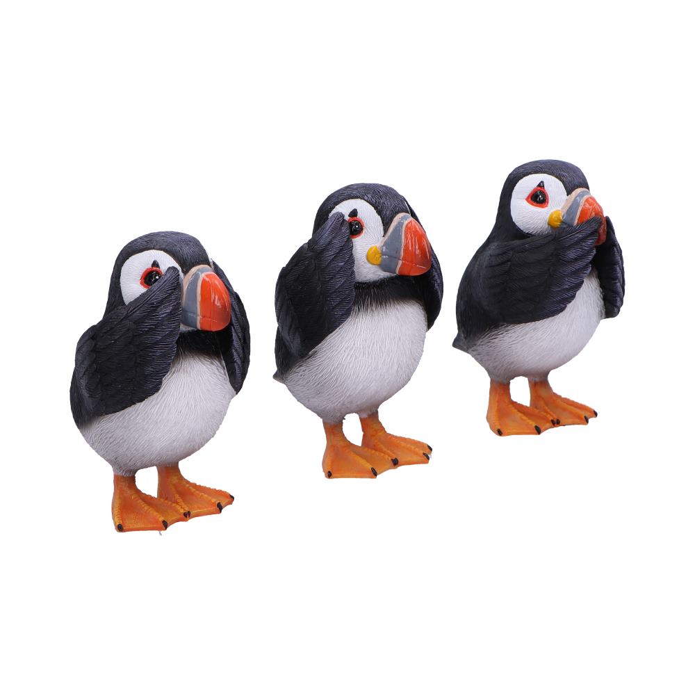 Three Wise Puffins