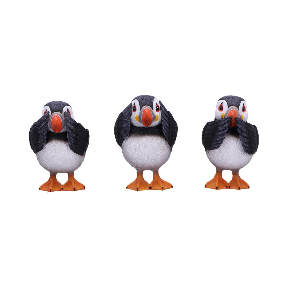 Three Wise Puffins
