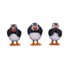 Three Wise Puffins