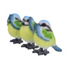Three Wise Blue Tits