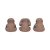 Three Wise Sloths