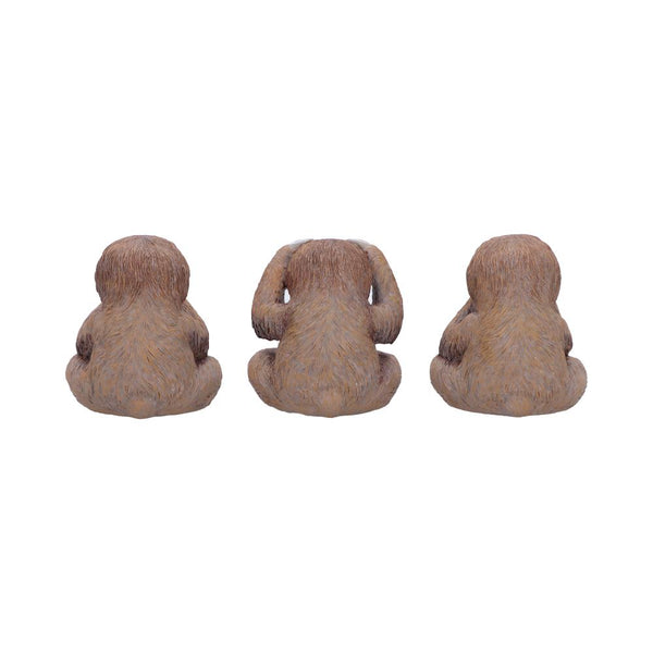 Three Wise Sloths