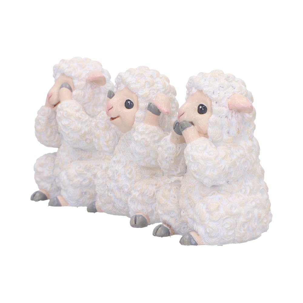 Three Wise Sheep