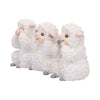Three Wise Sheep