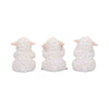 Three Wise Sheep