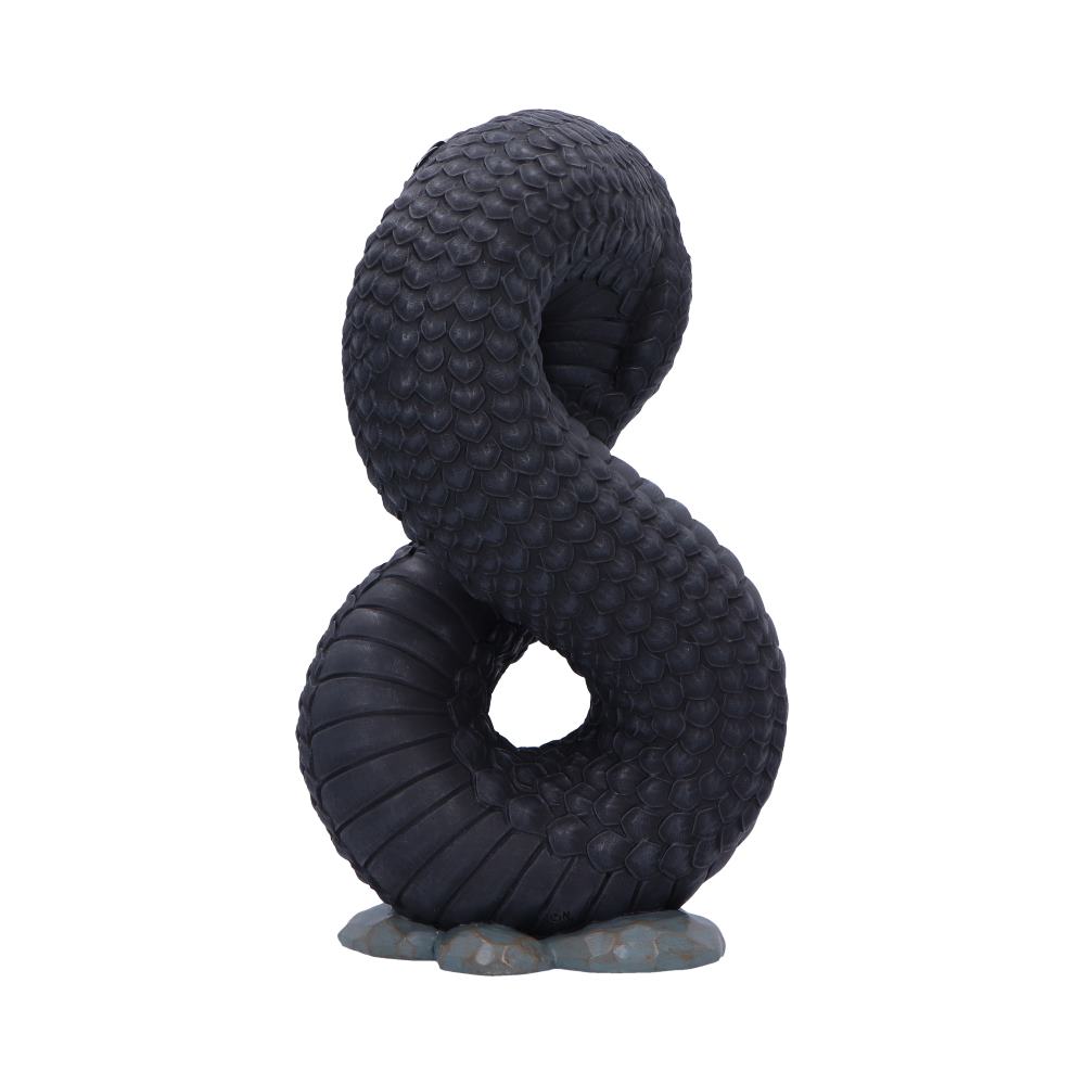 Ouroboros Large