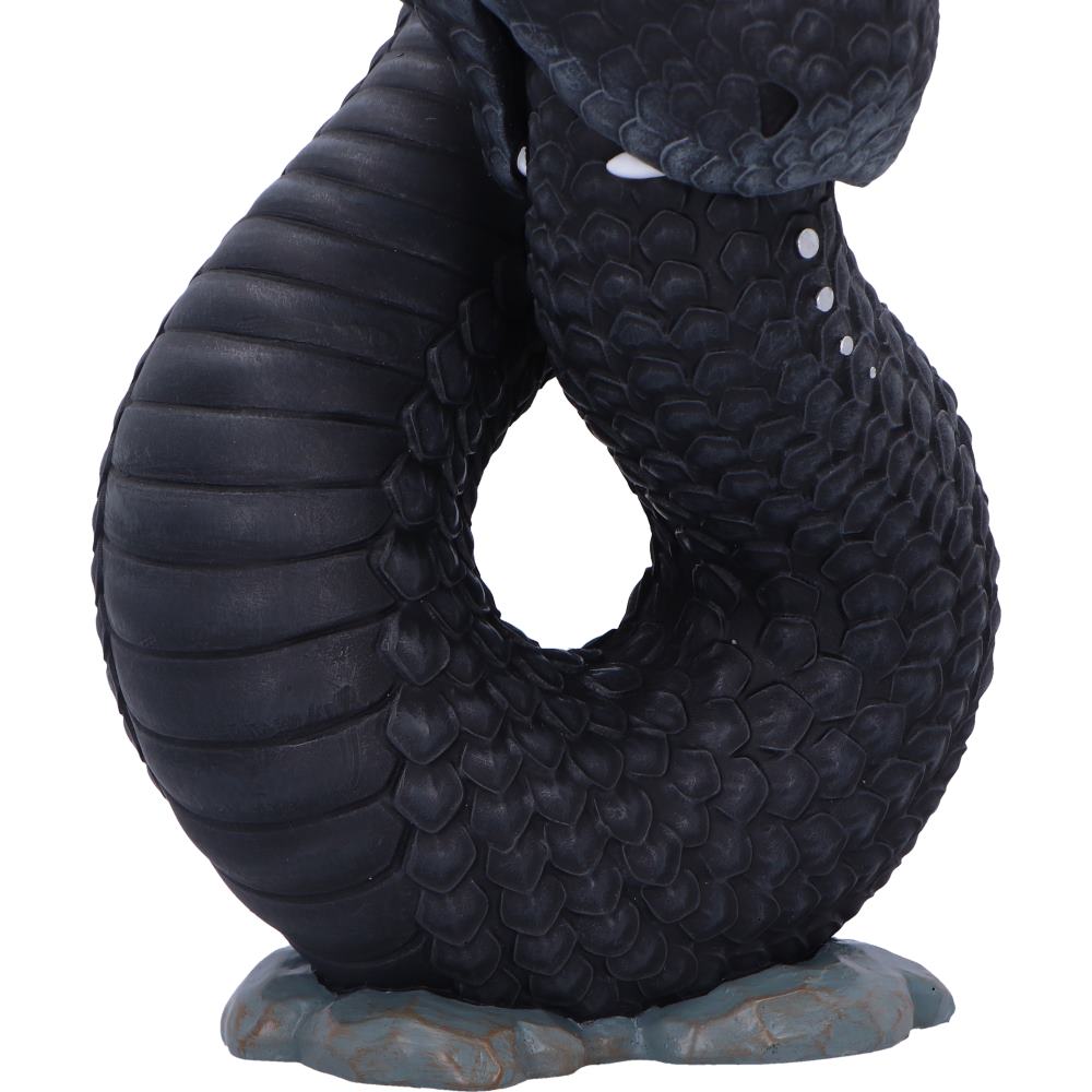 Ouroboros Large