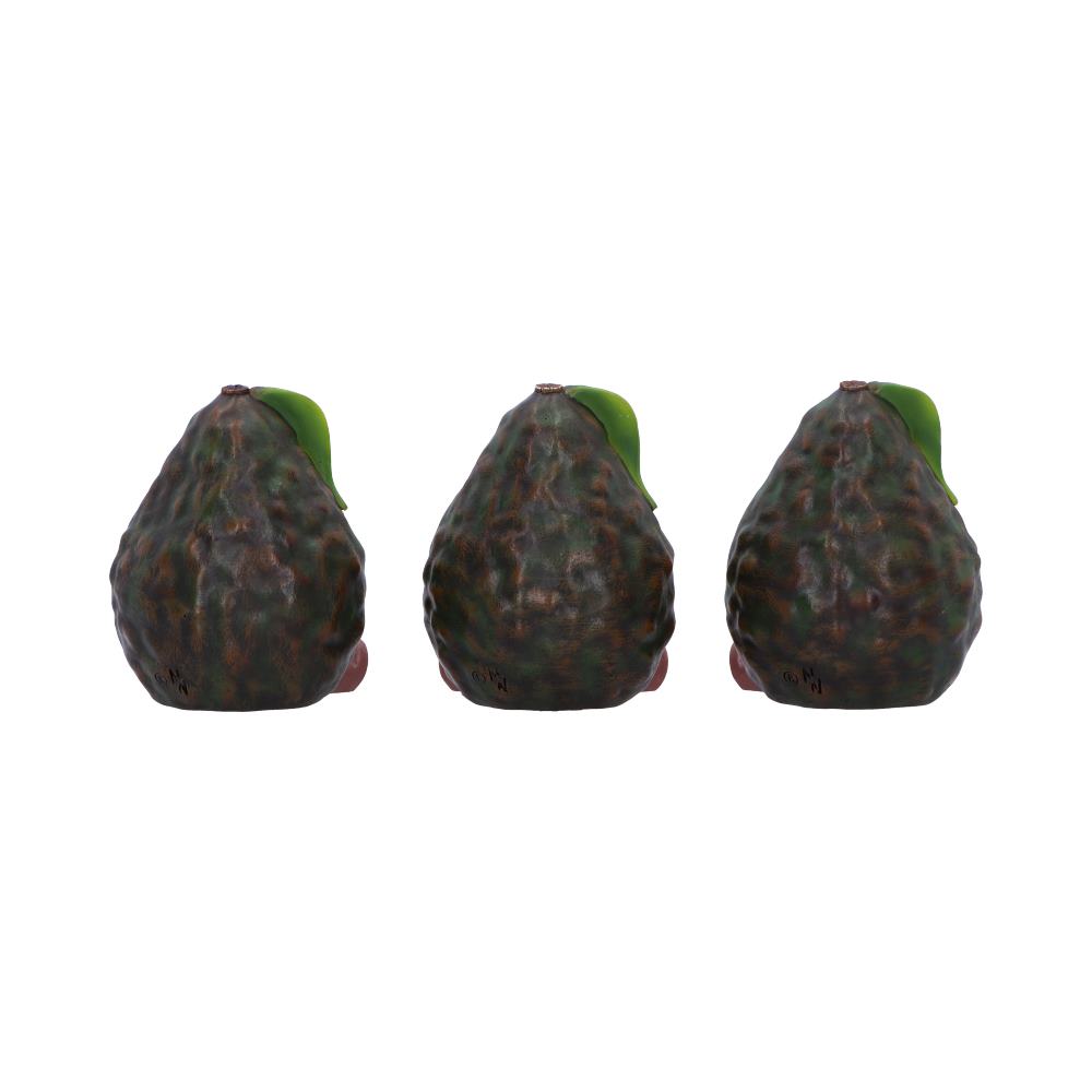 Three Wise Avacados