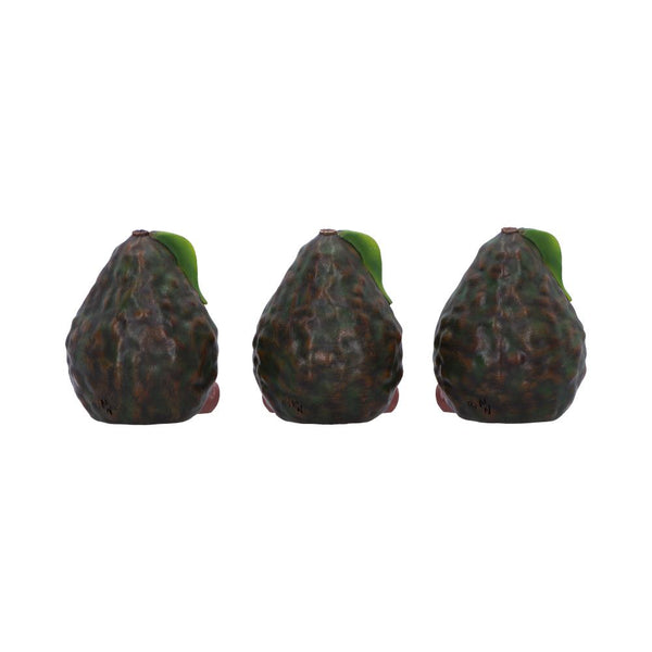 Three Wise Avacados