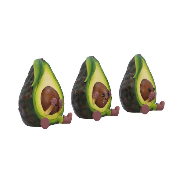 Three Wise Avacados