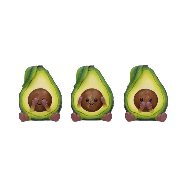 Three Wise Avacados