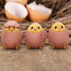 Three Wise Chicks