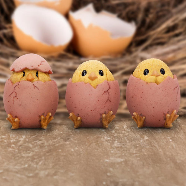 Three Wise Chicks