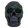 Aged Pentagram Skull