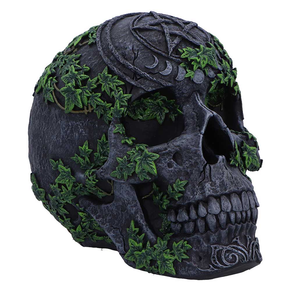 Aged Pentagram Skull
