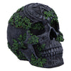 Aged Pentagram Skull