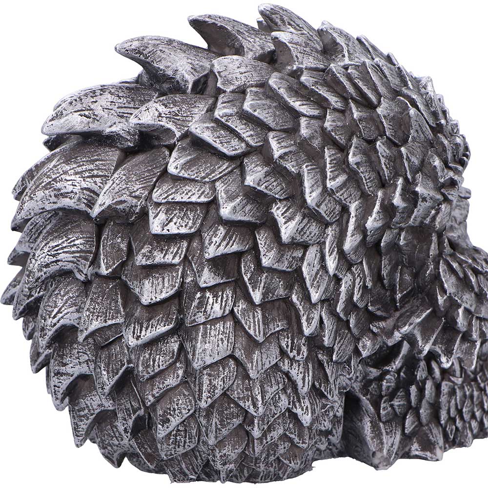 Scaled Remains