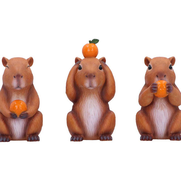 Three Wise Capybaras