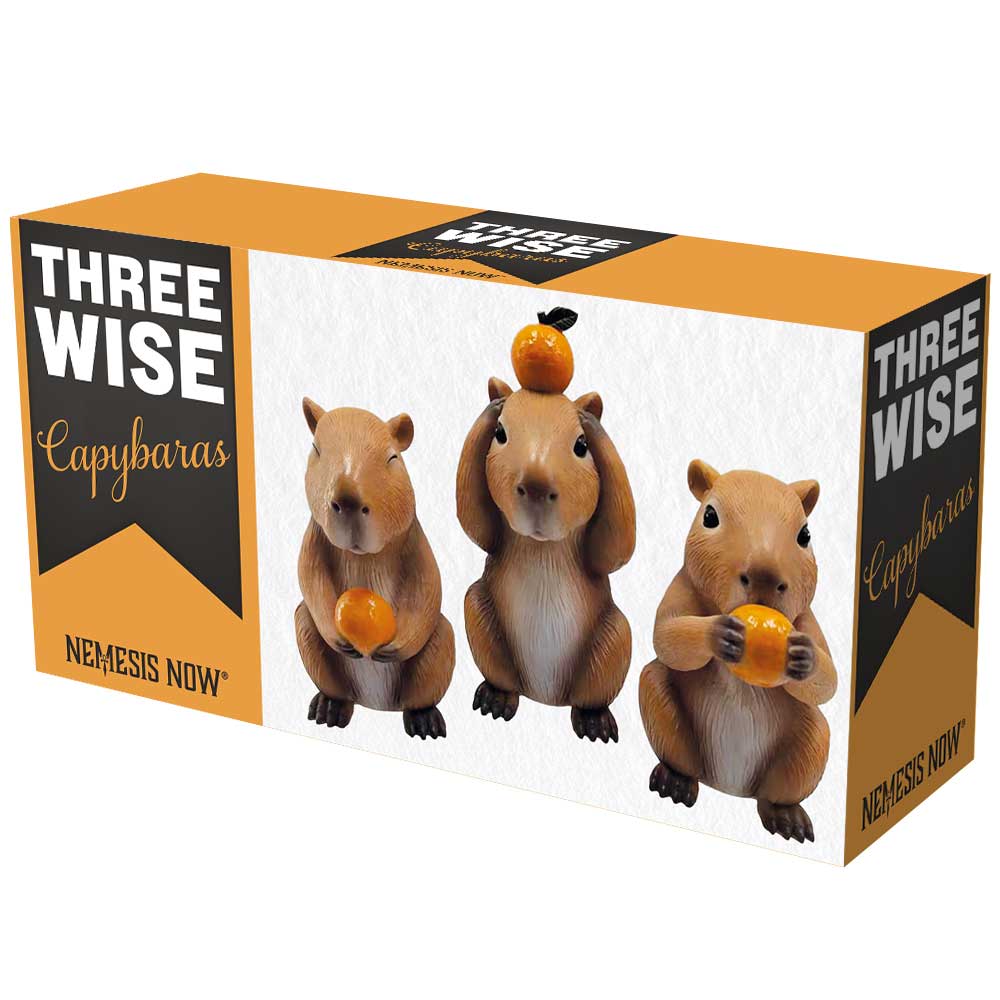 Three Wise Capybaras