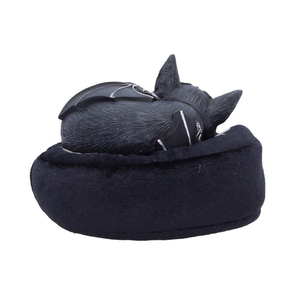 Malpuss Dreams