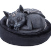 Malpuss Dreams