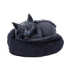 Malpuss Dreams