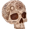 Apothecary