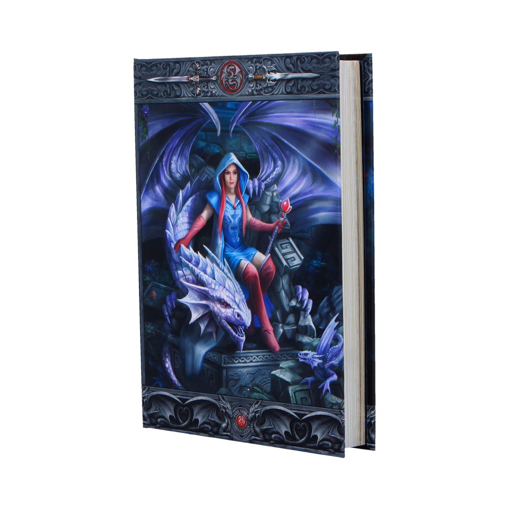 Dragon Mage Journal