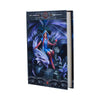 Dragon Mage Journal