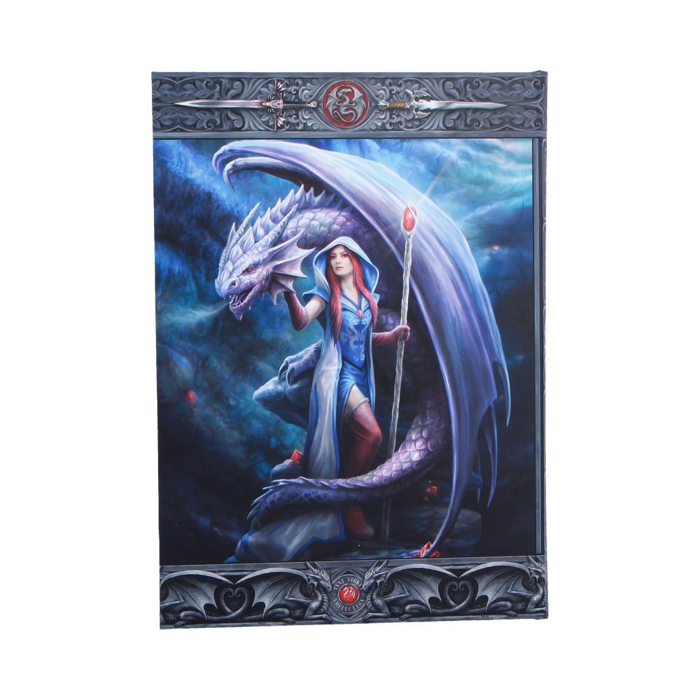 Dragon Mage Journal