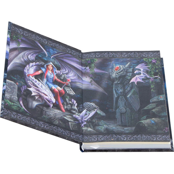 Dragon Mage Journal