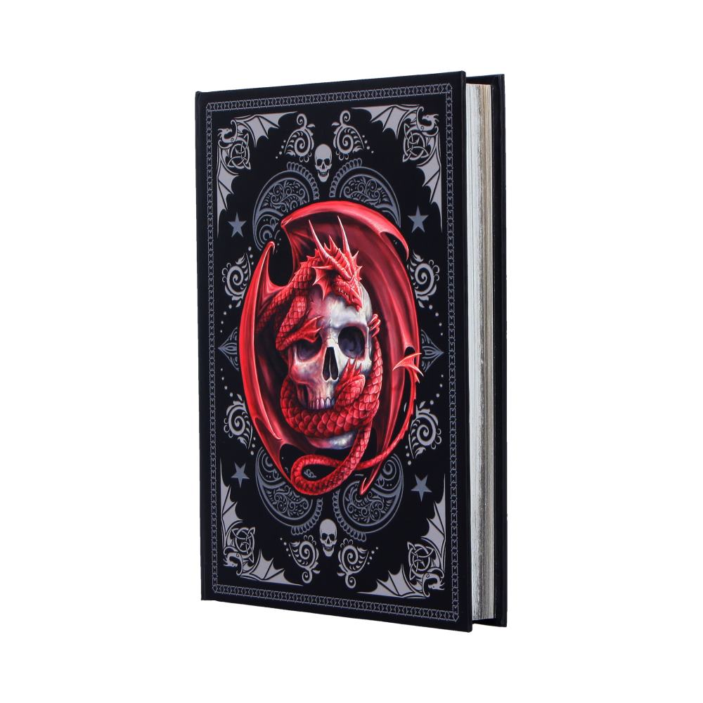 Skull Embrace Journal