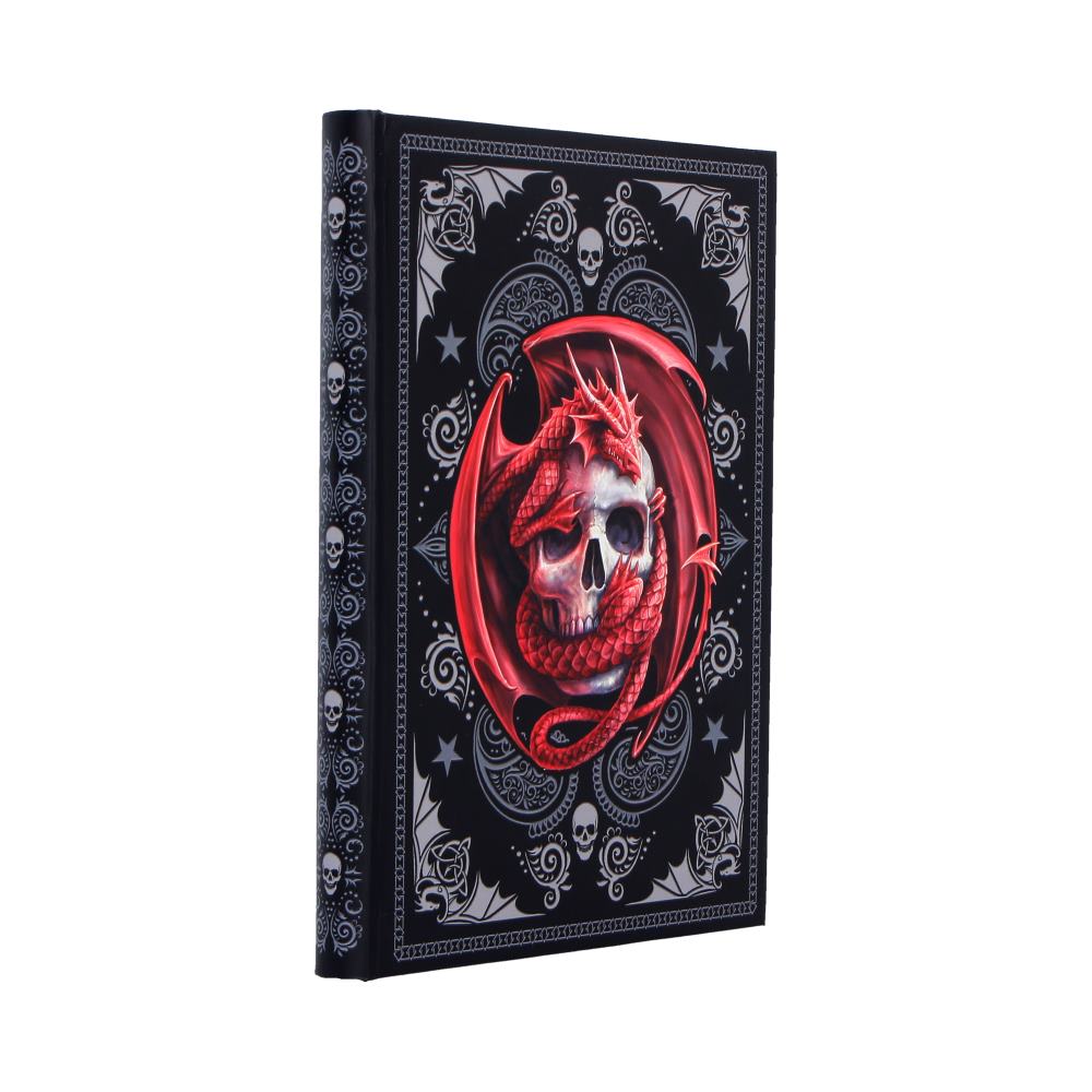 Skull Embrace Journal