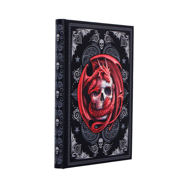Skull Embrace Journal