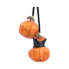 Pumpkin and Patch Hanging Ornaments