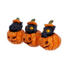 Three Wise Pumpkin Patch