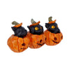 Three Wise Pumpkin Patch