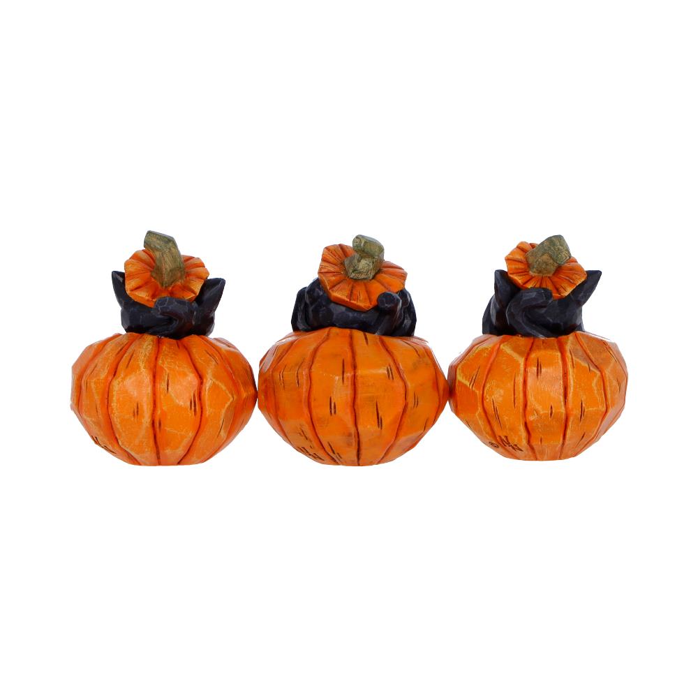 Three Wise Pumpkin Patch