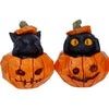 Three Wise Pumpkin Patch