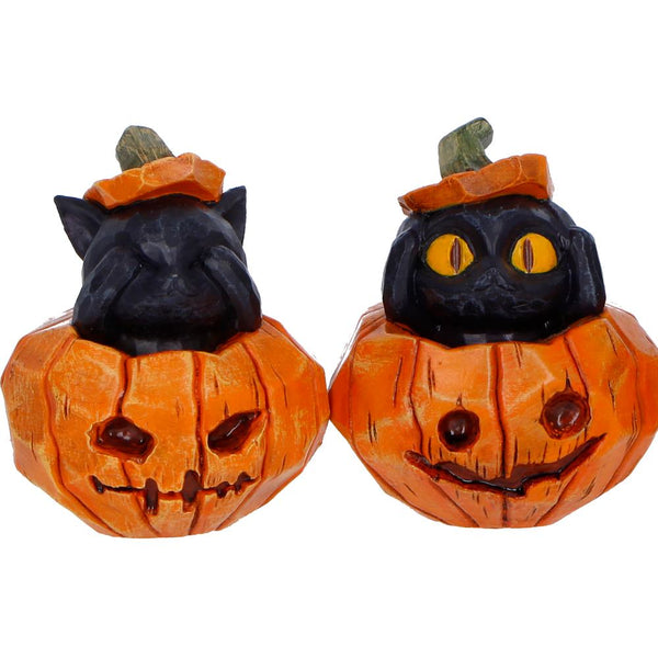 Three Wise Pumpkin Patch