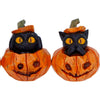 Three Wise Pumpkin Patch