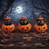 Three Wise Pumpkin Patch