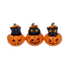 Three Wise Pumpkin Patch