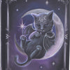 Malpuss Journal