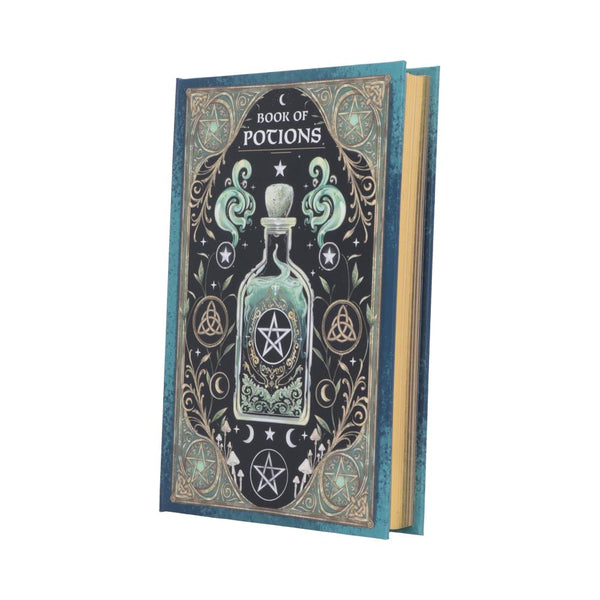 Book of Potions Journal